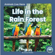 Life in the Rain Forest Paperback, Little Blue Readers, English, 9781646190638