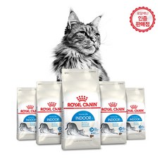 로얄캐닌키튼4kg