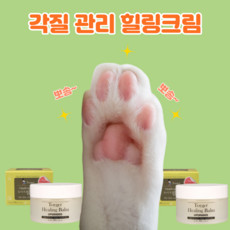 e8bea1ca8e03ecd5e8a70b9a5257701db81d10f3d0dc0b894b25c26edcee.png