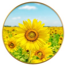 c06f11f1cba99ed8595c1e42278bb879c075ee1051e6d62a315a35ebaff5.jpg