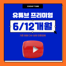 유튜브 프리미엄 유튜브 뮤직 6개월 12개월