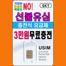 선불폰대장 SKT 선불유심 3만원 무료충전 유심개통, 1개, 선불 절약 4950