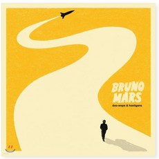 Bruno Mars 브루노 마스 1집 Doo-Wops & Hooligans LP