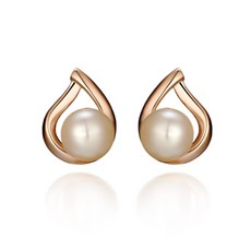 가이거귀걸이세트