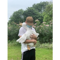 독일거위인형