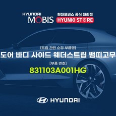 hg웨더스트립
