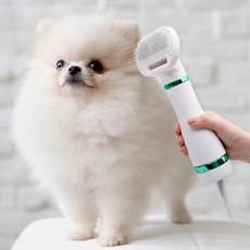 반려동물 그루밍 브러싱 털건조 저소음 안전 펫드라이 _ 74499EA, 1개