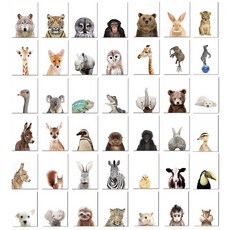 갯마을차차차포스터