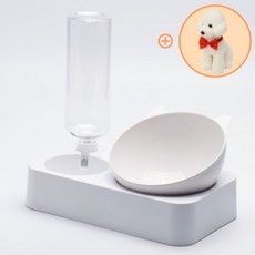 [당일발송]5H펫 각도조절 강아지 고양이 밥그릇 애견식기 + 나비 넥타이 세트, 화이트-L +나비 넥타이(색상랜덤), 1개