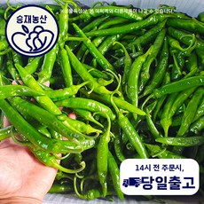 ( 승재농산 ) 국내산 청양고추 청양고추 매운고추 땡초 상등급(못난이) 1kg 2kg 3kg 5kg 10kg / 특등급 10kg, 상품5kg, 1개