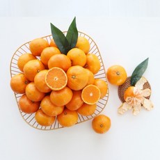 노지 감귤 정품 10kg (로얄과) /과일, 상세페이지 참조