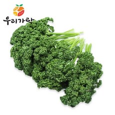 우리가락 파슬리 1kg, 1개