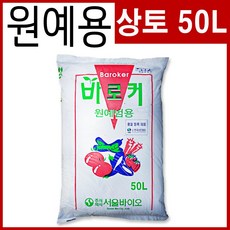 바로커상토