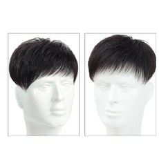 중년남성짧은머리가발
