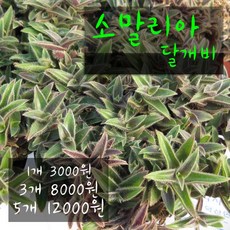 169f1773dd31370cdd21bf6c669887fcecba10fbe0b347dd701836b6ffaf.jpg
