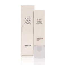 정샘물 스킨 세팅 글로잉 베이스 40ml, 단일상품, 단일상품