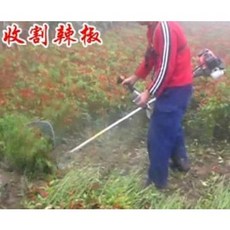 수동벼베기