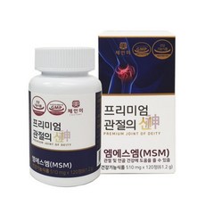 삼성fnb MSM 100 엠에스엠 식이유황 120정 허리 목 무릎 손목 어깨 관절영양제 연골영양제, 1개