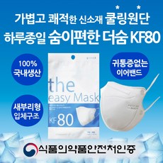 국산 더숨 KF80 대형 새부리형 신소재 쿨링원단 미세먼지 황사방역마스크 개별포장, 1set, 10매