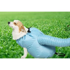 반려동물 펫드라이룸 털 드라이기 털 말리기 건조기, L:대형_몸길이50-62Cm