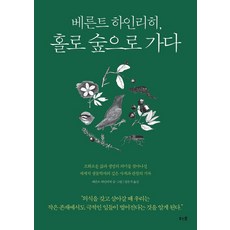 숲에서