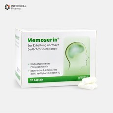 두뇌발달기억력