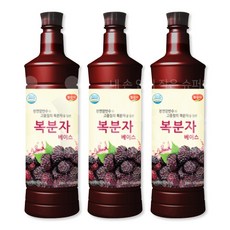 광야식품 복분자 베이스 970ml, 3개