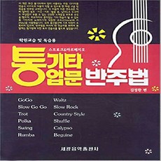 통기타입문반주법