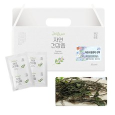 국산 차전초 질경이 차 즙 건강즙 진액 엑기스 액기스 100ml 30개입, 1개