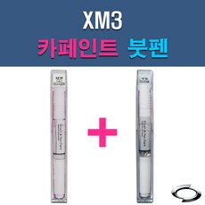 르노삼성 XM3 EEA QXB EEC GXA KAD QXD TXB 자동차 차량용 도색 카페인트 붓펜 세트, 1-5. TXB 마이센블루+투명붓펜 - xm3붓펜