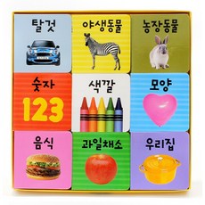 첫 단어 인지책