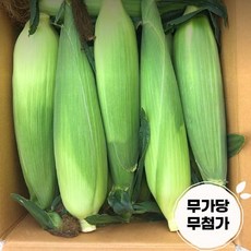 초당옥수수 제철 달고 맛있는 초당옥수수...