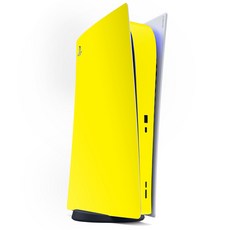 플레이스테이션5스킨