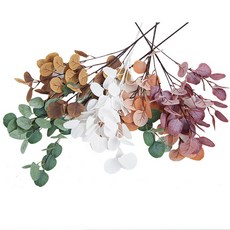 레이프릴플라워가든