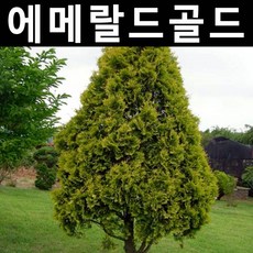 6ac76613ab329da90d10e84582e64b6e6f2f9cba32e5b5be7fee788f9ab7.jpg