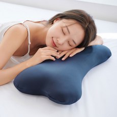 씰리메모리폼베개