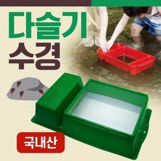 다슬기 TOP01