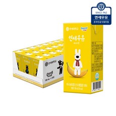 연세우유 바나나맛 멸균우유, 24개, 190ml