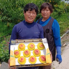 햇사레감곡복숭아축제(음성)