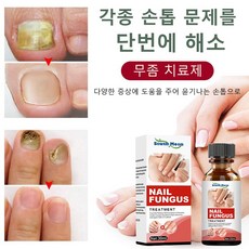 메디올가네일