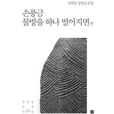 손풍금 물방울 하나 떨어지면 외:김원일 중편소설집, 강, 김원일 저