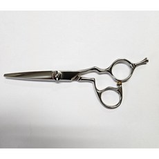 프로소 (Prosso) 헤어컷 전문가용 미용가위 5.5인치 일본 VG-1 소재 실버, 1개