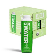 JUST Water 저스트 워터 알카라인 샘물 민트 500ml 12팩, 1세트