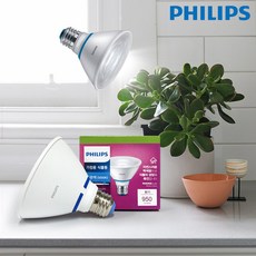 필립스 LED 식물등 식물 LED 전구 조명 램프 PAR30 10W 생장등 성장등, 필립스 PAR30 램프 10W (백색), 1개