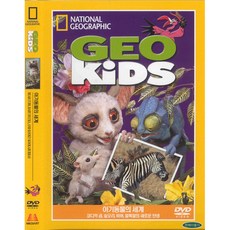 지오키즈dvd