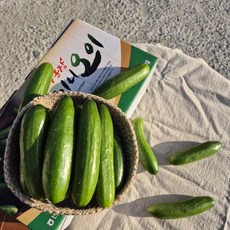 청조농산 미니오이 스낵오이 껍질째 먹는 오이, 1개, 500g