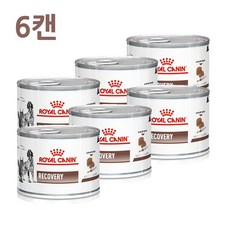 로얄캐닌리커버리캔