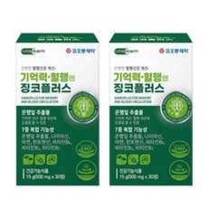 코오롱제약 기억력 혈행엔 징코 플러스, 30정, 1개