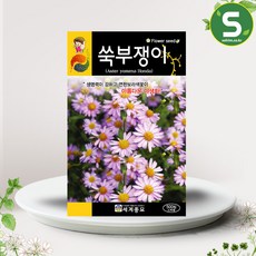 헬프팜 쑥부쟁이 500립 아람종묘 꽃씨 종자 씨앗, 1개