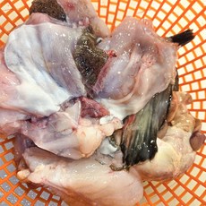국내산 동해안 생아구 안키모 생물 아귀 손질 찜 탕 수육, 3개, 900g이내 손질